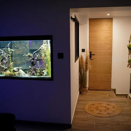 Appartement Nuit De La Sagesse Jacuzzi Terrasse Et Parking Privé Rouen