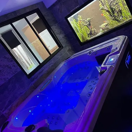 Appartement Nuit De La Sagesse Jacuzzi Terrasse Et Parking Privé Rouen