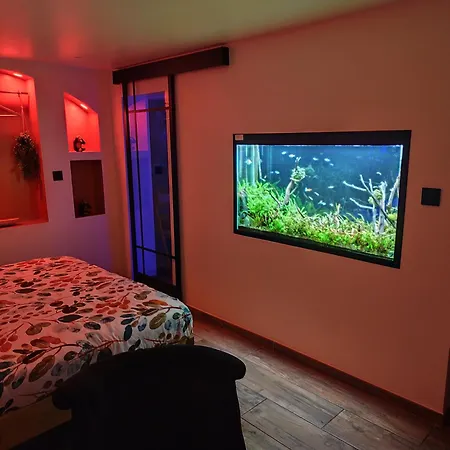 Apartment Nuit De La Sagesse 