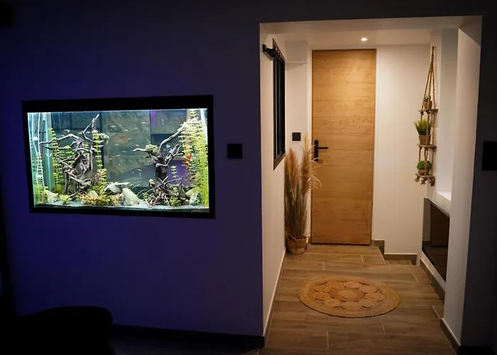 Apartment Nuit De La Sagesse 